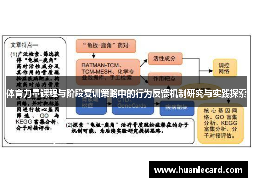 体育力量课程与阶段复训策略中的行为反馈机制研究与实践探索
